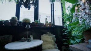 ПРЕВРАТИЛ ОДНУШКУ в КОРОЛЕВЕ в СТИЛЬНЫЕ ДЖУНГЛИ