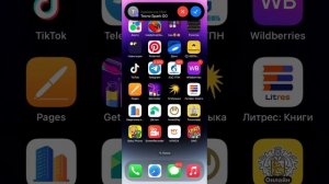 Screen Recording Incoming Call Social Media Viber+Signal+TamTam+WhatsApp+Google Meet IPhone 14 Pro