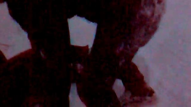 SICK snörejsarcrasch! broken foot смотреть онлайн