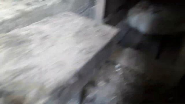 Как узнать наседку?/показываю наших кур смотреть онлайн