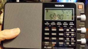 Grundig Executive Satellit vs Tecsun PL 880