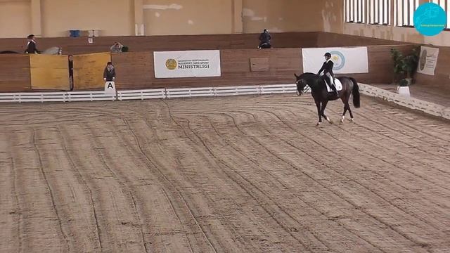 Суховеенко Галина и Гравер, Кубок РК по Выездке,1е место 68,09%,Кюр Средний Приз 1, 02-10-2023 смотреть онлайн