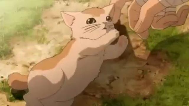 Не спорь с котятами!!🐱🐈 смотреть онлайн