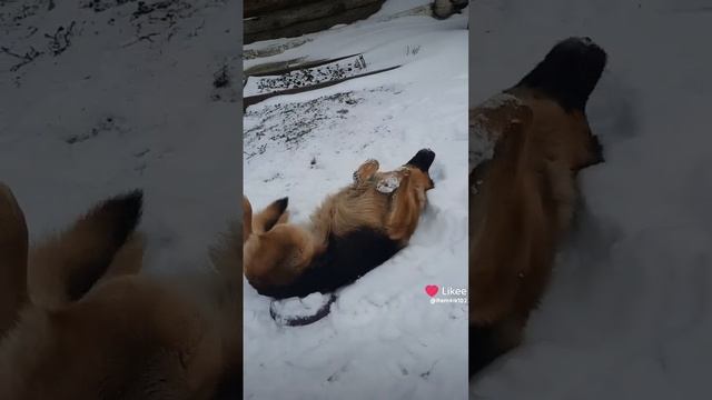 Снежные ванны смотреть онлайн