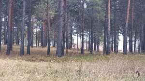 дружба без конца и в мистику 3 серия
