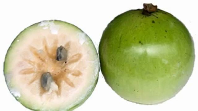 Kaymito (Star apple ) смотреть онлайн
