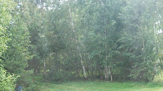 SAM 0802 смотреть онлайн