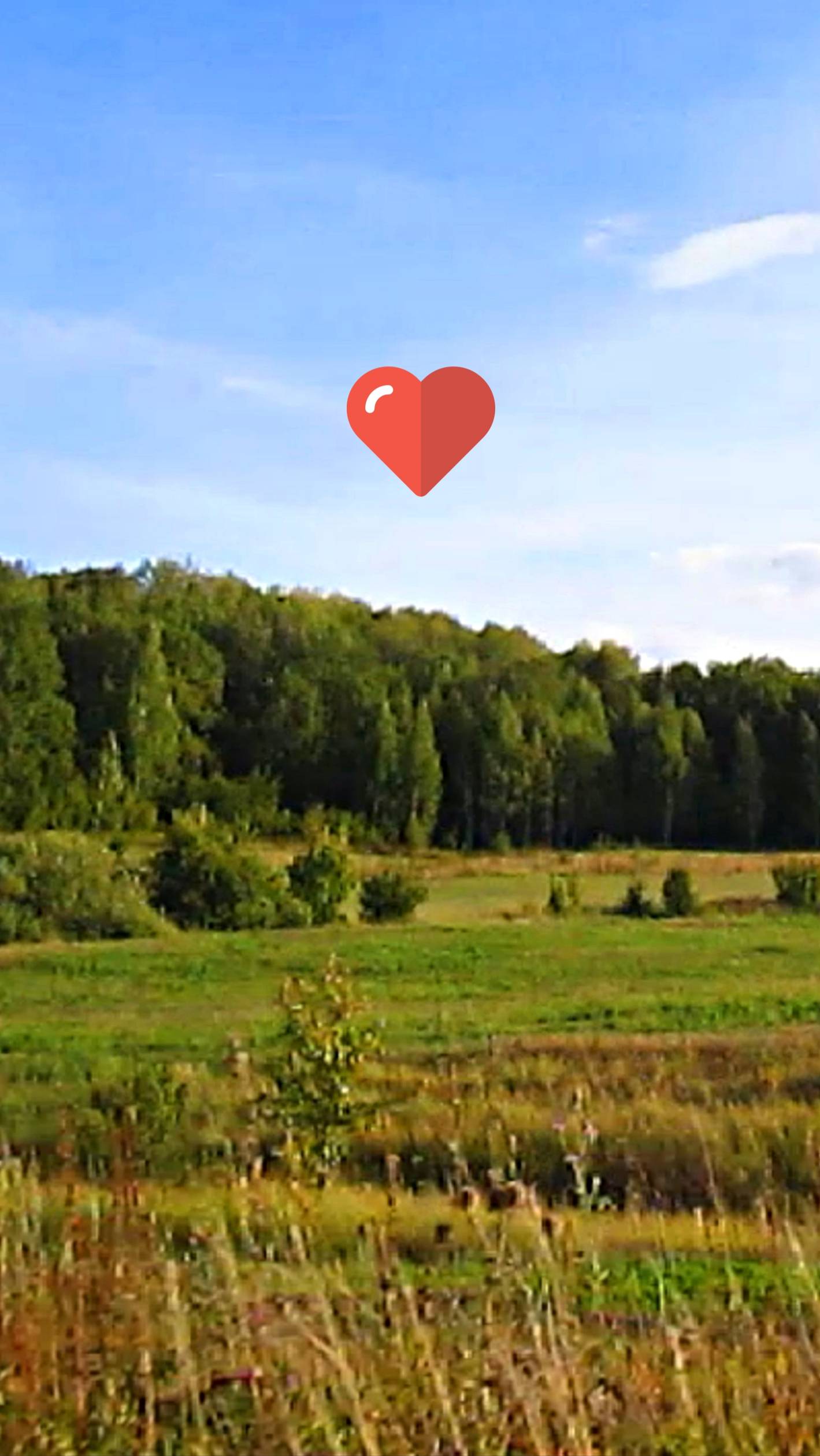 Про Лайк смотреть онлайн