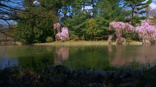 I Want You To Love Me - Fiona Apple (Garden Walk) смотреть онлайн