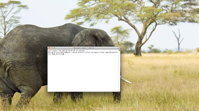 How to show and hide HIDDEN files and folders, in Mac OS X смотреть онлайн