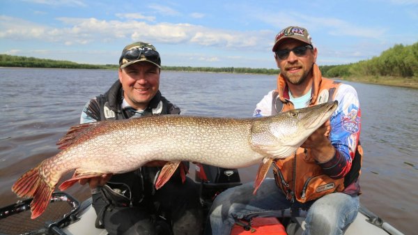 ЩУКА людоед наконец то поймана!