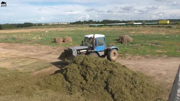Заготовка силоса в соседнем хозяйстве на технике Ростсельмаш
