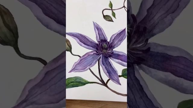 До/После Клематис #watercolor #скетчбук #рисование смотреть онлайн