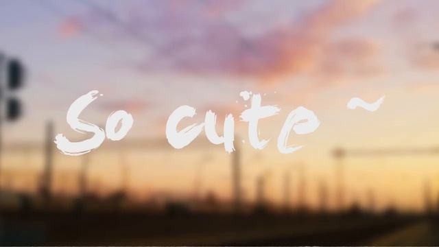 OnericOzelot - So cute ~ смотреть онлайн