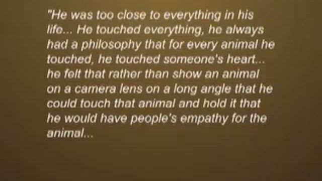 Steve Irwin Tribute смотреть онлайн