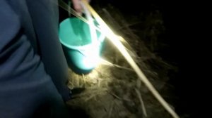 ЛОВЛЯ РАКОВ НОЧЬЮ С ФОНАРИКОМ |||ЛОВЛЯ РАКОВ ПОДСАЧИКОМ