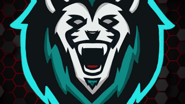 удача и не удача