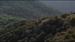 Голубые молнии - За синие береты!