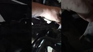 Замена вентилятора охлаждения двигателя гранта 16 кл