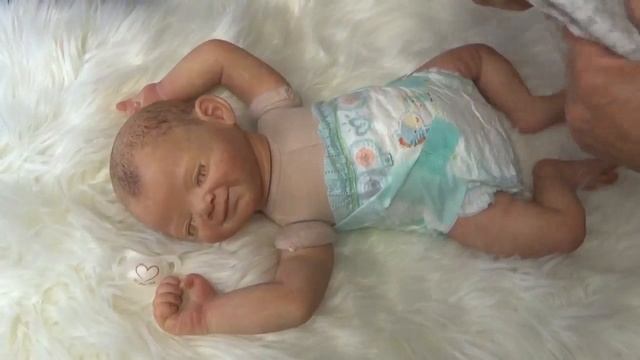 MILO 2 (Kit Heike Kolpin) möchte sich mit einem Lächeln vorstellen :-) смотреть онлайн