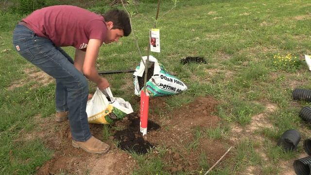 Planting an Apple Tree Orchard in East Tennessee смотреть онлайн