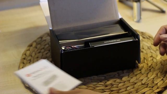 Raikko Evolution + Pump Bluetooth Speaker Review Deutsch/German смотреть онлайн
