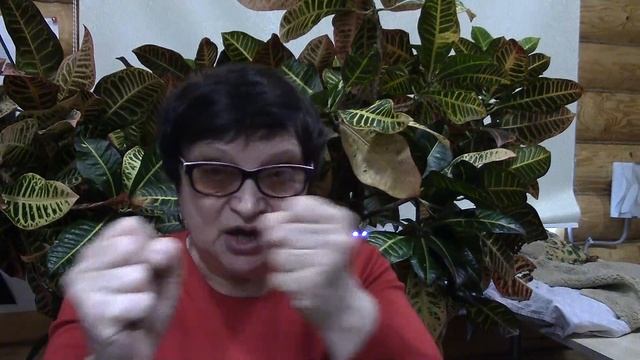 Семейное консультирование. смотреть онлайн