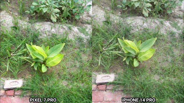 Google Pixel 7 Pro Vs iPhone 14 Pro Camera Test &Comparison смотреть онлайн