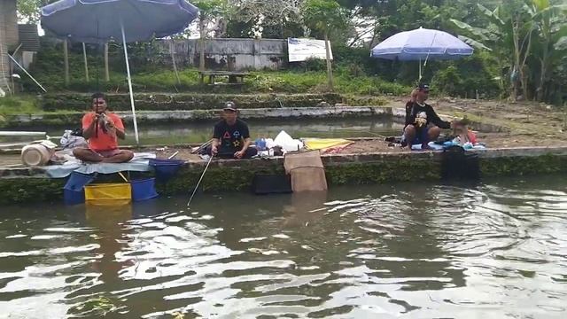 mancing borongan 5,4 juta an babon-babon seharian hujan strike || sensasinya bikin ketagihan смотреть онлайн