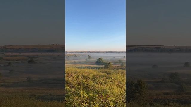 Утро на охоте#охота #nature #природа смотреть онлайн