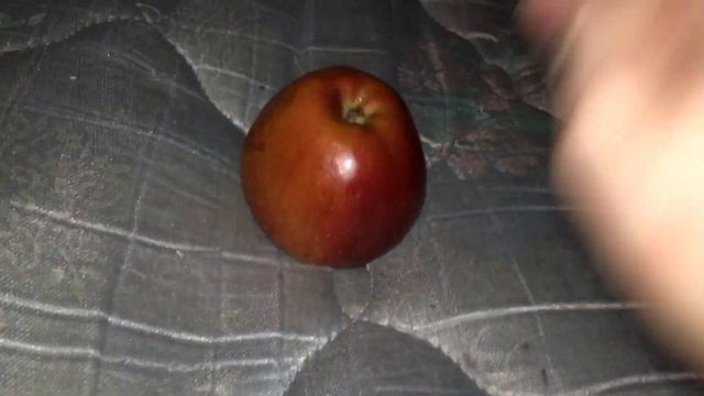 Hey Apple! (Annoying Orange Parody) смотреть онлайн