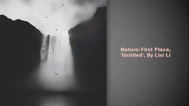 2020 iPhone Photography Award Winners смотреть онлайн