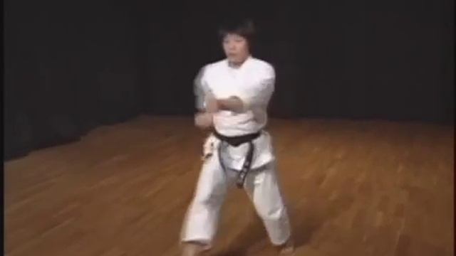 Karate_ JKS - Kihon Kata Kumite