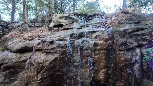 Dji osmo pocket 3 vs Go pro 11 Low light test with Mist filters смотреть онлайн