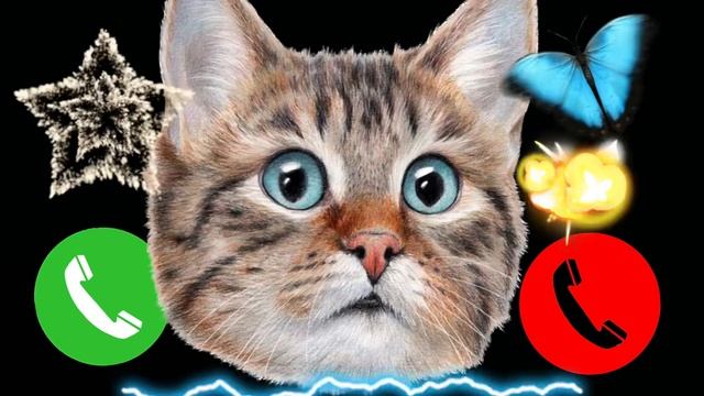 Apple best ringtone iPhone 15 Pro max 2 cat🍎#iphone смотреть онлайн