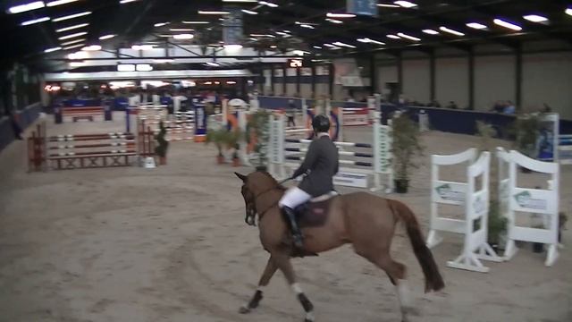 Denzel van Querlybet hero x boreas смотреть онлайн
