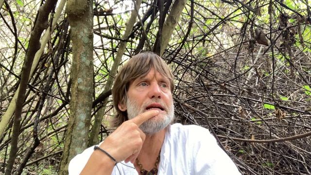 Who Is Your Mind Talking To? (Advanced Self-Inquiry) смотреть онлайн