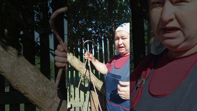 КАК ПРАВИЛЬНО ПРИВЯЗАТЬ КОРОВУ. смотреть онлайн