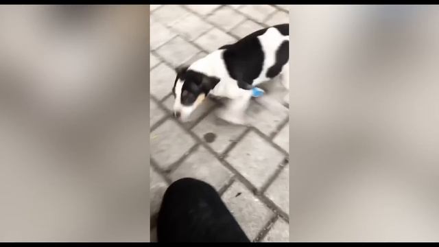 YE NAHI HONA CHAHIYE THA💔 смотреть онлайн