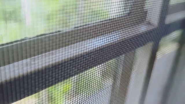 IPhone 13 Pro Max 24FPS Prores Test with neewer ND Filter смотреть онлайн