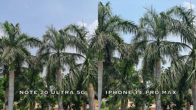 IPHONE 11 PRO MAX VS SAMSUNG NOTE 20 ULTRA 5G 🔥🔥 || CAMERA TEST📷🔥|| WHO IS BEST..😉???? смотреть онлайн