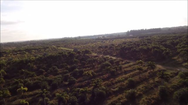 Paramotor in florida Macpara Blaze GT test flight смотреть онлайн