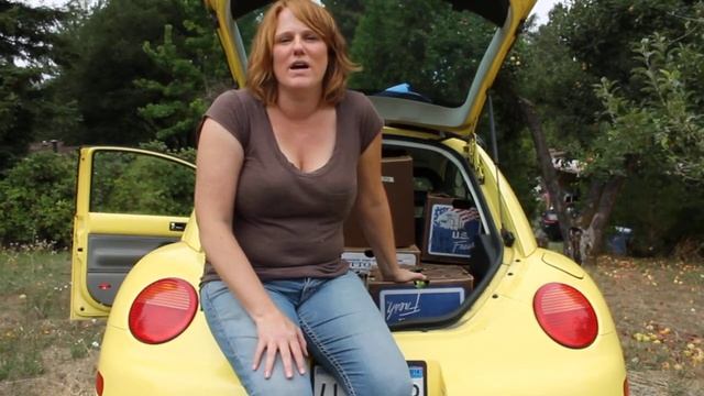 GLEANING: Gravenstein Apple for Hunger Relief | Farm to Pantry смотреть онлайн