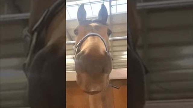 меееееееееееееем