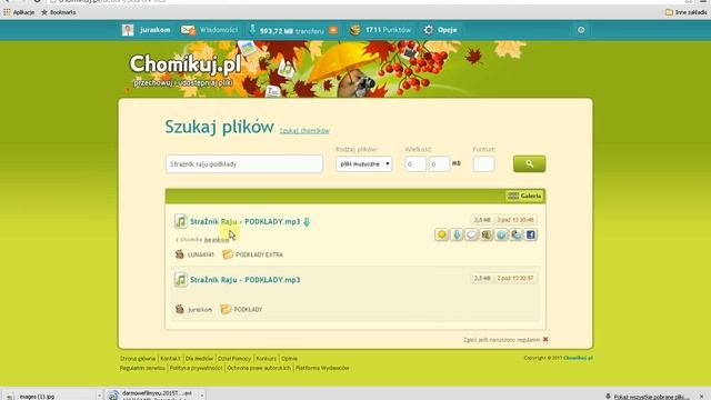 PORADNIK CZ 7 CHOMIKUJ PL