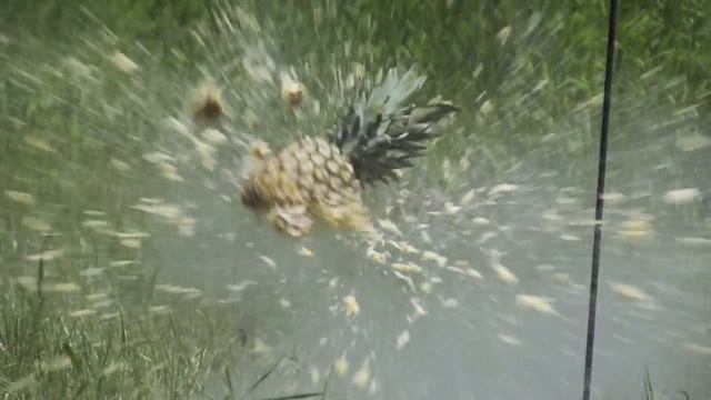 Shooting Fruit In Slow Motion with .300 Win. Mag смотреть онлайн