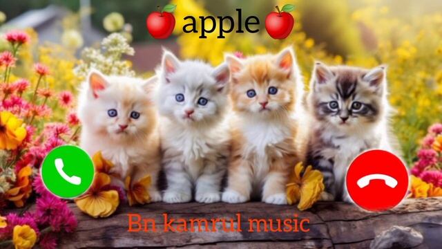 🍎apple ringtone 🍎 #cat #iphone ringtone / best call ringtone /New mobile ringtone смотреть онлайн