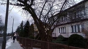 Польша - частные сады и что там растет