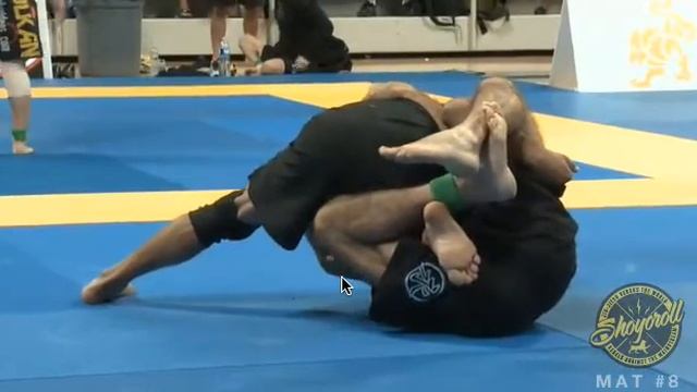 Mark Hopkins 2012 Nogi Worlds смотреть онлайн