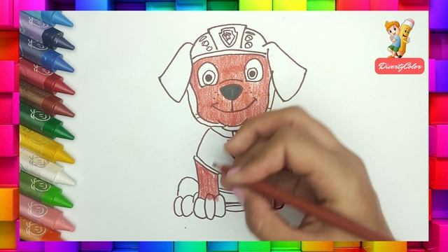 🔴Aprende a Dibujar✍y Colorear a 🐶🐕🐕🦺🦮Zuma de PAW patrol (patrulla de cachorros) Dibujos para niños смотреть онлайн